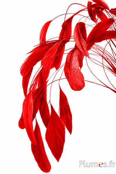 Coquetips chinchilla gebleekt - 13-18 cm - rood